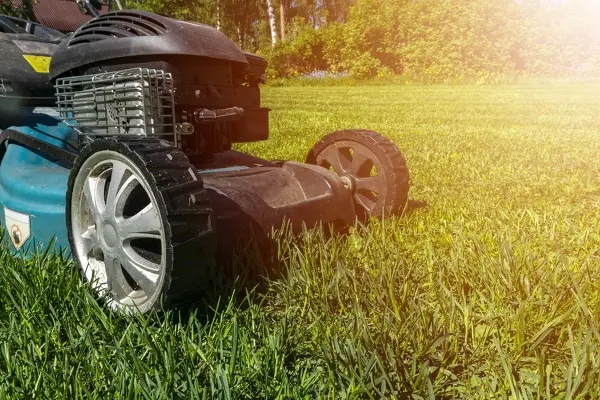 Can You Mow Wet Grass in Centennial, CO