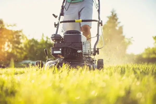 Can You Mow Wet Grass in Centennial, CO