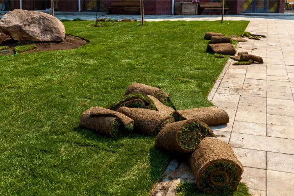 How Long After Installing Sod Can You Walk On It in Centennial, CO