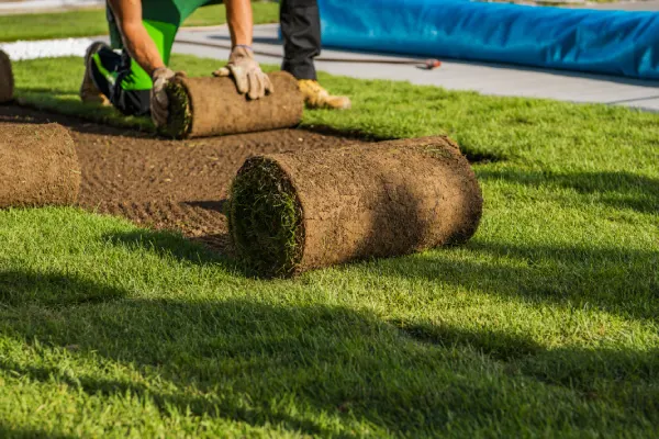 How Long After Installing Sod Can You Walk On It in Centennial, CO