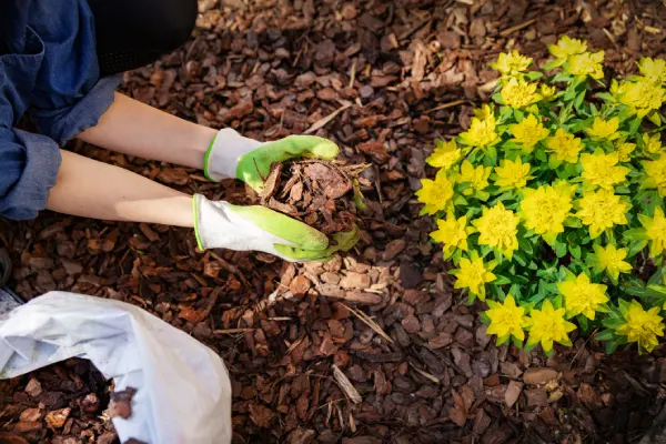 How Long Does Mulch Last in Centennial, CO