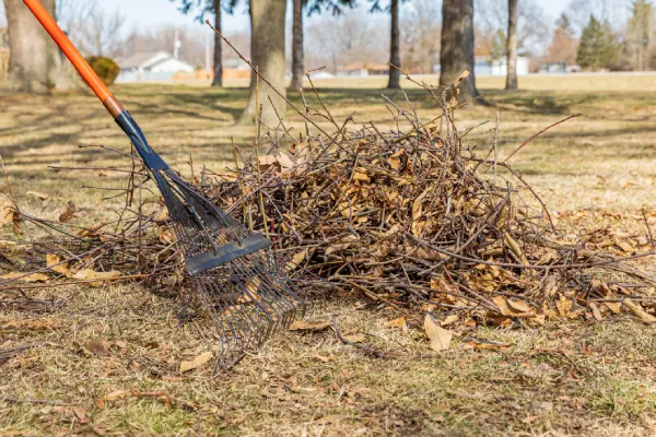 How to Clean a Backyard in Centennial, CO