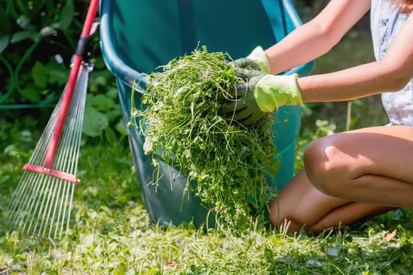 How to Clear a Yard Full of Weeds in Centennial, CO