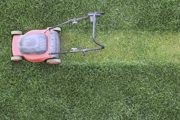 Lawn Mowing in Centennial, CO