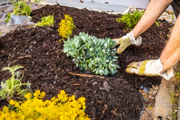 Quality Mulching in Centennial, CO