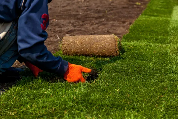 Quality Sod Installation in Centennial, CO