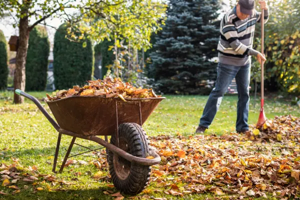 Quality Yard Cleanup in Centennial, CO