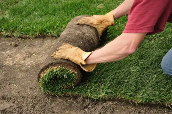 Sod Installation in Centennial, CO