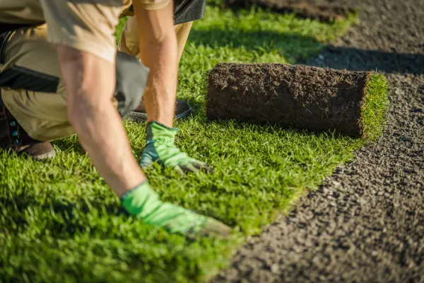 Sod Installation in Centennial, CO