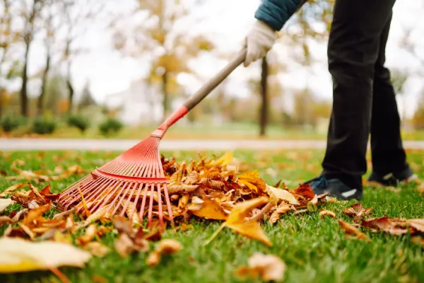 Yard Cleanup in Centennial, CO