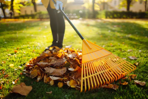 Yard Cleanup in Centennial, CO